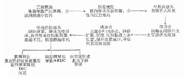 第34章 急性胰腺炎