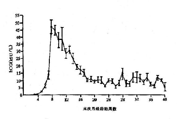 孕期hcg变化曲线图图片