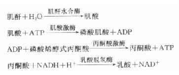 [/alt][/img]</p><p>此法特异性高，标本不需去蛋白，特别适用于自动分析。但工具酶过多、价格昂贵。</p><p>正常参考值：血浆肌酐44-133μmol/L。</p><p>血尿素浓度除受肾功能影响外，还受到蛋白质分解代谢引起的变化，如高蛋白饮食、胃肠道出血、口服类固醇激素等都可使血尿素浓度增高。而肌酐摄入、生成量恒定，故血肌酐测定较血尿素测定更能准确地反映肾小球功能，但反应较迟钝。</p><p>肾功能不全的代偿期可见BUN轻度增高（＞7.0mmol/L），肌酐可不增高或轻度增高；肾功能衰竭失代偿期，BUN中度增高（17.9-21.4mmol/L），肌酐也中度增高（442.0μmol/L）；尿毒症时BUN＞21.4mmol/L，为尿毒症诊断指标之一，肌酐可达1.8mmol/L。</p><p>⒊血清尿酸（serum uricacid，SUA）尿酸是嘌呤类的终末产物，血尿酸主要从肾脏排出，肾功能减退时SUA增高。尿酸从肾小球滤过后在肾小管中重吸收和分泌，最后排出滤过量的8％，在严重衰竭时肾小管分泌大增，可达滤过量的85％被排出，慢性尿毒症时SUA的增高程度不明显。</p><p>尿酸测定方法可分为两大类：磷钨酸还原法和尿酸酶法，目前以尿酸酶法为主。</p><p>⑴磷钨酸法：是利用在碱性环境中尿酸具有还原性，无蛋白血滤液中的尿酸可使磷钨酸还原生成蓝色的钨蓝，可进行比色测定，反应如下：</p><p>尿酸＋磷钨酸→尿囊素＋CO<sub>2</sub>+钨蓝</p><p>此法的不足之处是特异性不高，显色褪色速率变化不定，灵敏度低。</p><p>⑵尿酸酶法：尿酸酶测定方法可分为三种类型：</p><p>1)紫外分光法：尿酸在282-292nm处有特异吸收峰，当其经尿酸酶作用后，产物在此波长范围无吸收峰，测量酶作用前后吸光度之差，经标准品、测定样品同时处理，可计算尿酸含量。该法灵敏度高，特异性强，其它物质无干扰，可用血清直接测定，不需沉淀蛋白，易于自动化，具有简单、快速的优点。</p><p>2）酶联比色法：尿酸经尿酸酶作用生成的H<sub>2</sub>O<sub>2</sub>，可用偶联的过氧化物酶（POD）使H<sub>2</sub>O<sub>2</sub>氧化还原色素原，成为氧化型而显色，用酚和4-氨基安替比林作生色原。反应如下：</p><p>[img]https://baike.zhuayao.net/Uploads/zyzy/lilunshuji/linchuangshengwuhuaxue/linchuangshengwuhuaxue122.jpg[alt]