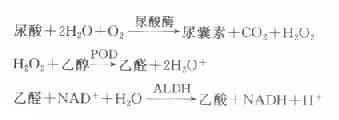 [/alt][/img]</p><p>此反应第一步是特异的，但后面的氧化还原反应易受干扰，因体内有许多脱氢酶反应，亦可氧化内源性底物而伴有NAD+还原生成NADH，导致结果偏高。除以上方法外，固相酶技术的发展使测定更简单，更易自动化。尿酸酶的固相化有以下几种类型：①固相尿酸酶与氧电极相联，测定尿酸氧化时的耗氧量；②固相尿酸酶及过氧化物酶与显色法结合；③夹心固相酶-荧光法，使产生的H<sub>2</sub>O<sub>2</sub>与对羟基苯乙酸反应产生荧光，此法具有酶反应的特异性及荧光法的灵敏度。</p><p>正常参考值：血尿酸：男性148.7-416.4μmol/L，女性89.2-356.9mol/L．</p><p><b>㈡肾血流量测定</b></p><p>测定对氨基马尿酸（PAH）清除率或碘锐特清除率均可反映肾血流量．对氨基马尿酸（PAH）主要由近端小管分泌排出．当血浆中PAH浓度很低时流经肾脏，90％从肾脏清除而排入尿中，即流经肾脏的PAH大部分被清除．PAH清除率相当于流经肾脏的血浆量，称为有效肾血浆流量（ERPF）。PAH为外源性物质，操作复杂，临床上多不采用。放射性核素（同位素）肾图能比较敏感地反映肾的血浆流量，目前临床上将其列为肾功能的常规检查。</p><p><b>㈢肾小管功能检查</b></p><p>肾小管的功能比较多，除了具有强大的再吸收水分与一些物质的能力外，还具有选择分泌与排泄一些物质的能力。到目前还没有理想的肾功能试验适用于临床。生理研究中的肾小管葡萄糖最高再吸收率（TmG）和对氨基马尿酸最大排泄率（TmPAH），可较好地代表肾小管再吸收与排泄的功能，但操作麻烦，不适合临床应用，多以尿液浓缩-稀释试验和酚红排泄试验作为肾小管的功能试验。近年来尿中酶的测定和自由水清除值等的测定逐步使肾小管功能试验简单、灵敏、快速，更适用于临床。</p><p>⒈近端小管功能检查 酚红排泄率可作为判断近端小管排泄功能的粗略指标。酚红注入体内后，94％由近端小管上皮细胞主动排泄，从尿液排出。由于酚红排泄试验受肾血流量及其它肾外因素影响较大，对肾小管功能敏感不高，故目前基本不用。以测定尿β<sub>2</sub>-微球蛋白及溶菌酶等估计近端小管功能。</p><p>⒉肾浓缩稀释试验 肾浓缩和稀释尿液功能主要在远端小管和集合管进行。在日常或特定饮食条件下观察病人尿量和尿比重的变化，称为浓缩稀释试验，作为判断远端小管功能的指标。（以上二试验在临床检验中已详尽叙述，本章略。）</p><p>⒊尿渗透压测定 液体的渗透压是由溶液中溶质的毫摩尔浓度决定的，尿液渗透压反映尿液中溶质的摩尔数。尿比重和尿渗透压都能反映尿中溶质的含量，但尿比重易受溶质微粒大小和性质的影响，如蛋白质、葡萄糖等均可使尿比重增高；而尿渗透压则反映尿中各种溶质微粒的总数目，而与溶质分子相对重量、微粒体积大小无关，因而测定尿渗透压较测定尿比重更好，更能反映肾浓缩和稀释能力。</p><p>目前多采用尿液冰点下降法测定渗透压，也可用蒸气压渗透压计算法测定。溶液的渗透压增加，使其冰点降低。以纯水的冰点0℃为标准，任何溶液的冰点都比纯水为低，均为负值。冰点愈低，负值愈大，表明溶液中的渗透浓度越大。1渗量的溶质可使1kg水的冰点下降1.858℃，因此溶质渗透压等于冰点下降数除以1.858。</p><p>渗透压（Osm/kgH<sub>2</sub>O）＝测得溶液冰点下降度（0C）／1.858</p><p>测定尿渗透压（Uosm）的方法有三种：①直接测定尿渗透压；②测定尿、血浆渗透压（Posm）的比值；③自由水清除率。</p><p>正常尿渗透压为600-1000 Osm/kg H<sub>2</sub>O。</p><p>尿渗透压和血浆渗透压相比，当尿渗透压高于血浆渗透压时，表示尿已浓缩，称为高渗尿；低于血浆渗透压表示已稀释，称为低渗尿；若与血浆渗透压相等为等渗尿，反映肾脏浓缩功能严重损害。</p><p>⒋自由水清除率 自由水清除值指单位时间内使尿液达到等渗，而应从尿中减去或加入的纯水量。在尿浓缩时，排出的尿量等于渗透尿量减去被总吸收的纯水量；在尿稀释时，排出的尿量等于等渗透尿量加上血浆中清除的纯水量。等渗尿量实际上就是渗透性溶质清除率，又称渗量清除率（Cosm）。它表示单位时间内肾脏能够将多少血浆中的渗透性溶质清除出去。</p><p>Cosm＝Uosm/Posm×V（单位时间尿量）</p><p>由于V＝Cosm＋CH<sub>2</sub>O，因此CH<sub>2</sub>O的计算公式是：</p><p>CH<sub>2</sub>O＝（l/Uosm/Posm）×V</p><p>自由水清除率正值代表肾稀释能力，负值代表肾脏浓缩能力；若CH<sub>2</sub>O等于或接近于0，则表示肾不能浓缩和稀释尿液，是肾功能严重损害的表现。因此，进行尿液浓缩试验时，自由水清除率的正值变小而接近于0，表示肾稀释功能受损，正常人常为－25-100ml/h。因在急性肾功能衰竭早期CH<sub>2</sub>O趋于0，CH<sub>2</sub>O呈现负值大小可反映肾功能恢复的程度，所以此测定对急性肾功能衰竭的早期诊断及病情变化有一定价值。</p><p>⒌肾小管对尿液的酸碱调节功能——H+总排泄量测定 正常饮食情况下，每天代谢产生50-100ml非挥发性酸，并从尿液中排出，主要经过肾小管分泌。若这么多酸都以游离的H+排除，则尿液的pH应小于2，但实际上正常尿液的pH在5-6之间，因此大部分H+是被缓冲后排出的。</p><p>肾小管以三种方式排酸：</p><p>⑴直接排H+，这部分可用pH计进行测定。</p><p>⑵和磷酸根、硫酸根及其它有机化合物结合。如HPO<sub>4</sub>3-＋H+→H<sub>2</sub>PO<sub>4</sub>2-，pH4.5时，尿中磷酸盐几乎全部以H<sub>2</sub>PO<sub>4</sub>2-存在，这部分酸加上游离H+可通过酸碱滴定来测定，称为可滴定酸度（UTA）。</p><p>⑶以NH<sub>4</sub>+形式排出，NH<sub>3</sub>在肾小管腔中与H+结合为NH<sub>4</sub>+排出体外。假定尿中无HCO<sub>3</sub>-排出，则H+总排泄量（UH）为：UH＝UTA＋UNH<sub>4</sub>+；当尿中有HCO<sub>3</sub>-排泄时，则机体每排泄1mmol HCO<sub>3</sub>-，必回收1mmol H+。所以肾的H+总排泄量应为：UH＝UTA＋UNH<sub>4</sub>-－HCO<sub>3</sub>-在肾脏某些疾病时，肾小管排酸能力可能出现障碍，血液中有磷酸盐、硫酸盐、有机酸滞留，导致代谢性肾性酸中毒，主要见于各型原发性肾小管酸中毒症。</p><p>⒍尿钠的测定 尿钠浓度可作为估计肾小管坏死程度的指标。尿钠排泄量多少取决于胞外液量及肾小管重吸收的变化，在鉴别急性肾功能衰竭和肾前性氮质血症时有意义。肾前性氮质血症是由于肾血流量灌注不足引起的肾功能损害，若缺血严重或持续时间延长（超过2小时），则可引起急性肾小管坏死，是急性肾功能衰竭的前奏曲。在急性肾衰时，肾小管功能受损，不能很好地重吸收钠，故尿钠浓度＞40mmol/L；而肾前性氮质血症的肾功能没有损坏，由于血容量不足，肾小管最大限度地重吸收钠，以维持血容量，故尿钠浓度＜20mmol/L；若尿钠在20-40mmol/L之间，则表明病人正在由肾前性氮质血症向急性肾衰发展。</p><p>滤过钠排泄分数（FeNa）对鉴别肾前性氮质血症和急性肾衰有特别意义。以尿钠浓度表示肾小管功能状况不正确的理由是易理解的。尿钠浓度与自由水清除值呈反比，而醛固酮和抗利尿激素可使尿钠浓度向相反方向转变。FeNa则不受上述因素影响，故能正确地反映肾小管的功能。FeNa的定义为肾小球滤过的钠经肾小管重吸收后，由肾排出的百分率。</p><p>[img]https://baike.zhuayao.net/Uploads/zyzy/lilunshuji/linchuangshengwuhuaxue/linchuangshengwuhuaxue124.jpg[alt]