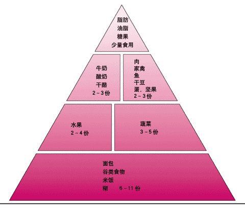 人体饮食金字塔图片