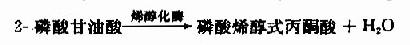 [/alt][/img]</p><p>(10)磷酸烯醇式丙酮酸的磷酸转移</p><p>在丙酮酸激酶(pyruvatekinase,PK)催化下，磷酸烯醇式丙酮酸上的高能磷酸根转移至ADP生成ATP，这是又一次底物水平上的磷酸化过程。但此反应是不可逆的。</p><p>[img]https://baike.zhuayao.net/Uploads/zyzy/lilunshuji/shengwuhuaxueyufenzishengwuxue/shengwuhuaxueyufenzishengwuxue139.jpg[alt]