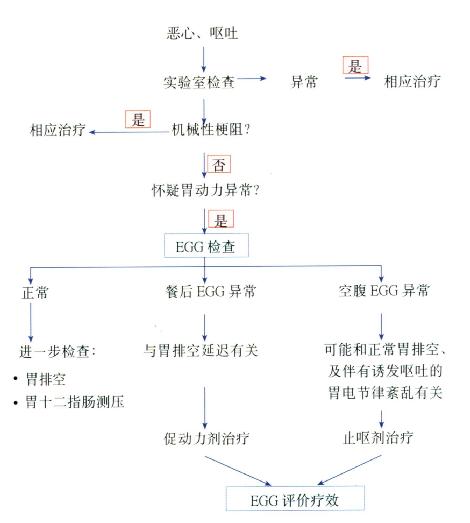 胃肠电图图片